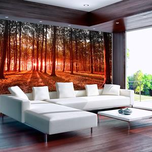 Karo-art Zelfklevend fotobehang - Ochtend in de herfst in een bos , Premium Print