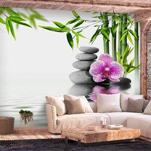 Karo-art Zelfklevend fotobehang - Water tuin , Premium Print
