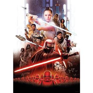 Komar Poster Star Wars Film poster Rey