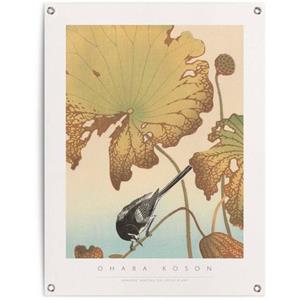 Reinders! Poster Bachstelze auf Lotuspflanze