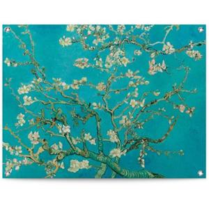 Reinders! Poster Mandelblüte - Vincent van Gogh