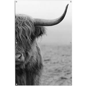 Reinders! Poster Highlander stier lichte en waterdichte tuinposter voor buiten