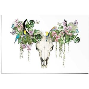 Reinders! Poster Tropic Skull