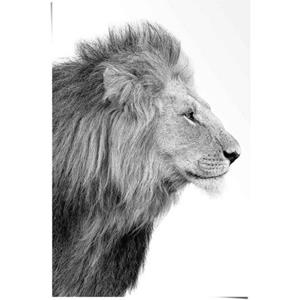 Reinders! Poster Leeuw koning - jungle - zijportret - krachtig
