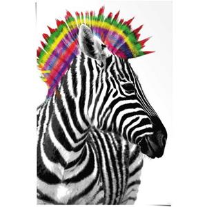 Reinders! Poster Zebra Punk