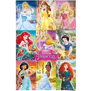 Reinders! Poster Disney`s prinsessen collage