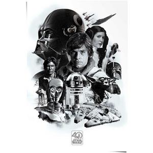 Reinders! Reinders Poster "Poster Star Wars 40 Jahre", Science-Fiction, (1 St.)