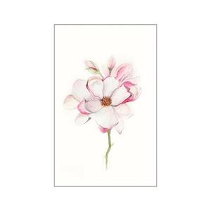Komar Poster "Magnolia Blossom", Blumen, (1 St.), Kinderzimmer, Schlafzimmer, Wohnzimmer