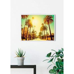 Komar Poster Palm Alley Hoogte: 50 cm