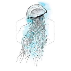 Komar Poster Jellyfish Watercolor Hoogte: 40 cm
