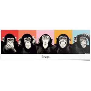 Reinders! Poster Chimpansee pop