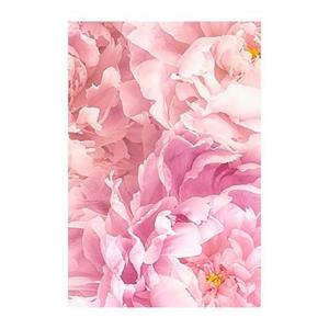 Komar Poster "Soave", Blumen, Höhe: 40cm