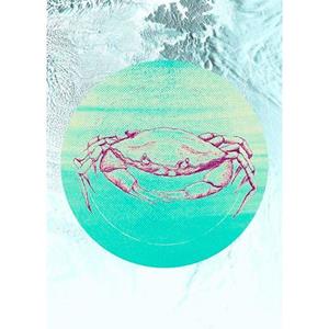 Komar Poster Crab Sea Hoogte: 50 cm