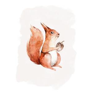 Komar Poster Hungry Squirrel (1 stuk)