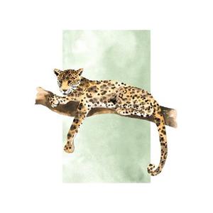 Komar Poster Lazy Leopard (1 stuk)