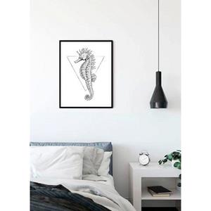 Komar Poster Sea Horse white Hoogte: 70 cm