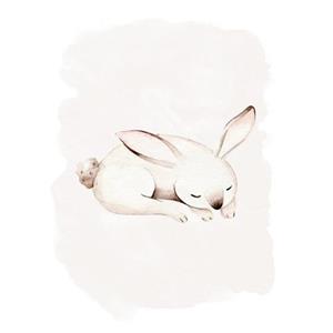 Komar Poster "Sleepy Bunny", (1 St.)