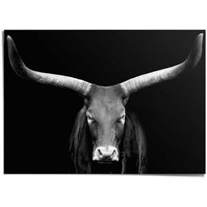 Reinders! Poster Afrikaanse koe