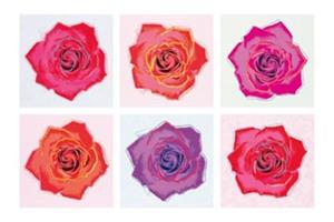 PGM Emily Pop - Pop Roses Kunstdruk 91x61cm