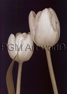 PGM Prades Fabregat - Bora Bora Flower III Kunstdruk 50x70cm