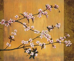 PGM Erin Lange - Cherry Blossoms Kunstdruk 60x50cm