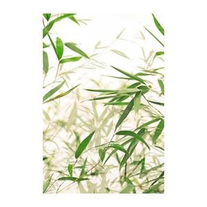 Komar Poster "Bamboo Leaves", Pflanzen-Blätter, (1 St.), Kinderzimmer, Schlafzimmer, Wohnzimmer