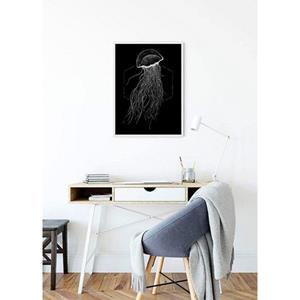 Komar Poster "Jellyfish Black", Tiere, (1 St.), Kinderzimmer, Schlafzimmer, Wohnzimmer