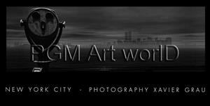 PGM Xavier Grau - New York Panoramic Kunstdruk 100x50cm