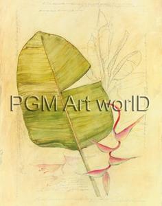 PGM Avery Tillmon - Botanical Journal I Kunstdruk 56x71cm