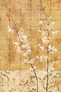 PGM Chris Donovan - Blossoms in Gold I Kunstdruk 62x93cm