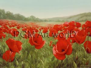 PGM Igor Levashov - Field of Poppies Kunstdruk 80x60cm