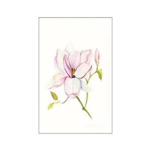 Komar Poster "Magnolia Shine", Blumen, Höhe: 70cm