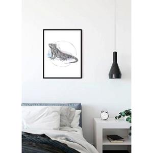 Komar Poster "Iguana Watercolor", Tiere, Höhe: 70cm