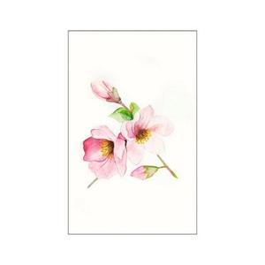 Komar Poster "Magnolia Breathe", Blumen, (1 St.), Kinderzimmer, Schlafzimmer, Wohnzimmer