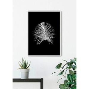 Komar Poster Feather black Hoogte: 70 cm