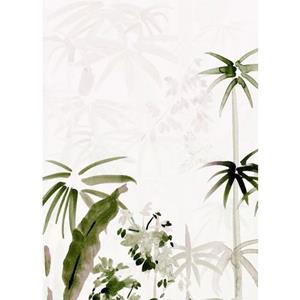 Komar Poster Bamboo Drawing (1 stuk)