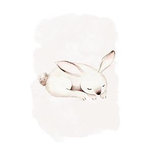 Komar Poster Sleepy Bunny (1 stuk)