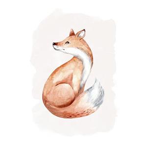 Komar Poster Curious Fox (1 stuk)