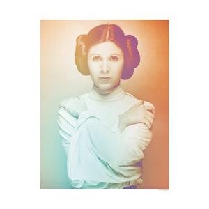 Komar Poster Star Wars Classic iconen Color Leia