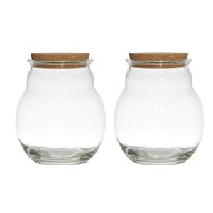 Set van 2x stuks glazen voorraadpotten/snoeppotten/terrarium vazen van 17 x 20 cm met kurk dop -