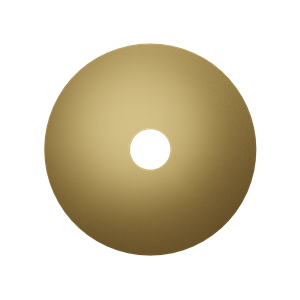 Balmani Pelota Disc LED verlichting 16 cm champagne gold