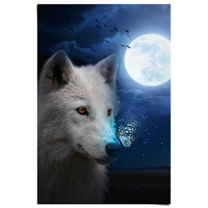 Reinders! Reinders Poster "Weißer Wolf"