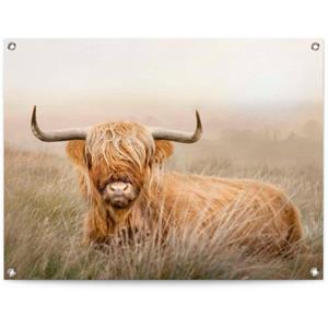 Reinders! Poster Schotse hooglander