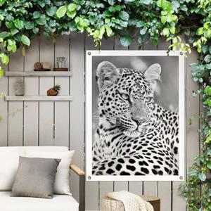 Reinders! Poster Leopard