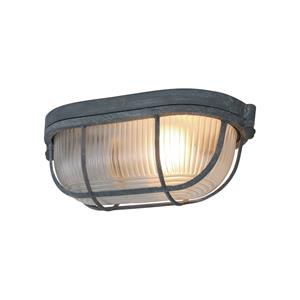Mexlite Plafondlamp Lisanne | 1 lichts | Grijs, Transparant