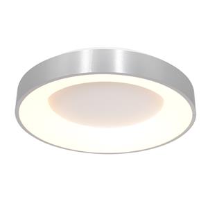 Steinhauer Plafondlamp Ringlede | 1 lichts | Wit, Zilver, Grijs