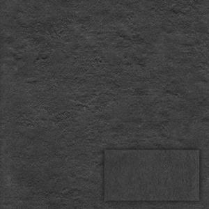 Praxis Wand- En Vloertegel Globus - Keramiek - Antraciet - 30x60,3cm - Pakketinhoud 1,84m²