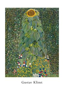 PGM Kunstdruk Gustav Klimt Die Sonnenblume 50x70cm