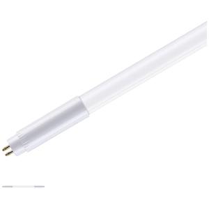 Paulmann LED-buis- Energielabel: F (A - G) G5 7.5 W Warmwit 1 stuk(s) (Ø x l) 18 mm x 301 mm