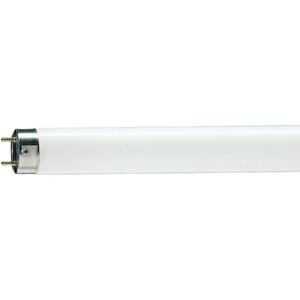 Philips - Leuchtstoffröhre master tl-d De Luxe - T8, 950 Tageslicht - 18W (590mm)